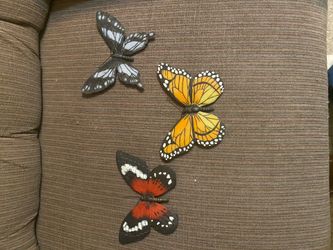 Butterfly decor