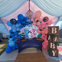 Stitch & Angel Gender Reveal