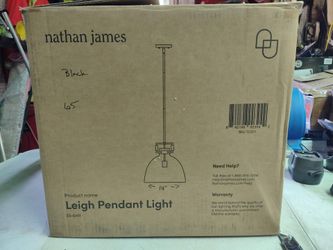 Nathan James Leigh Pendant Light Fixture In Matte Black with glass globe