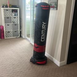 Century Punching Bag