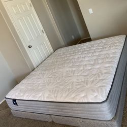 KING SEALY MATTRESS AND FREE BOX SPRINGS 