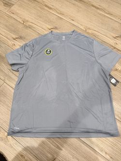 DriWorks Gray Athletic T-Shirt