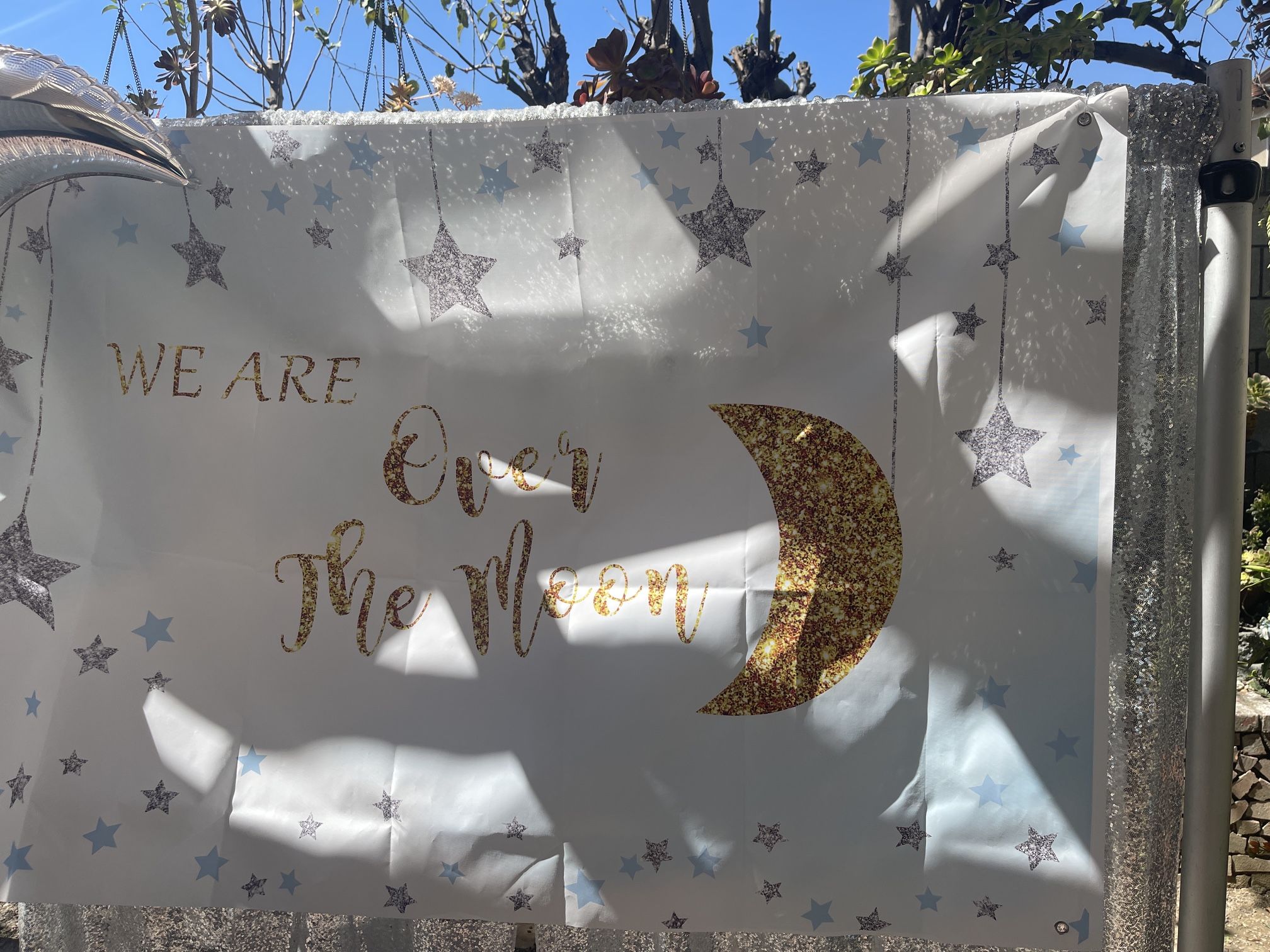 “We Are Over The Moon” baby Shower Backdrop Sign