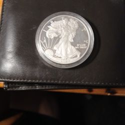 SILVER DOLLAR