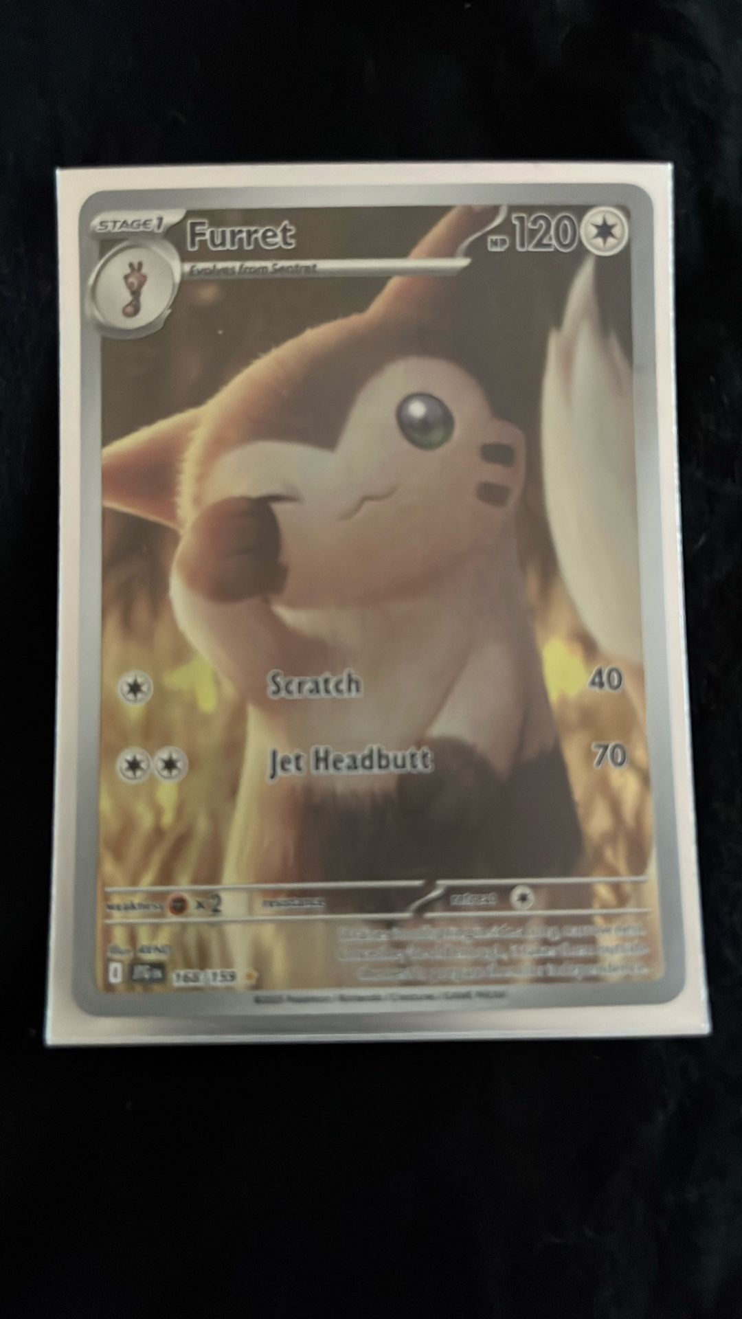 Furret Card