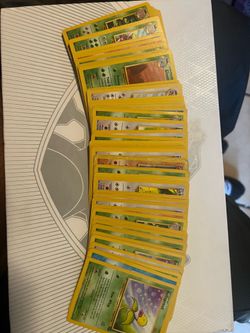 Jungle unlimited bulk