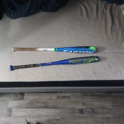Baseball Bats 