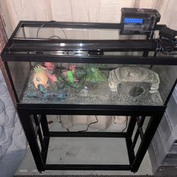 20g Long Aquarium With Stand 