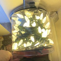 Christmas Lights 🎄🎄🎄