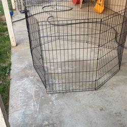 Dog Kennel