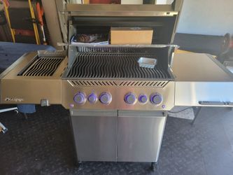 Napoleon P500v Natural Gas Grill