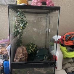 Terrarium With Extras 