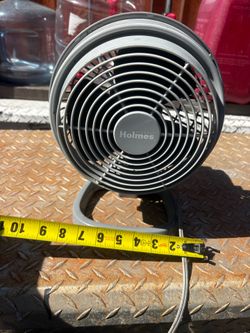 assorted fans eight dollars each