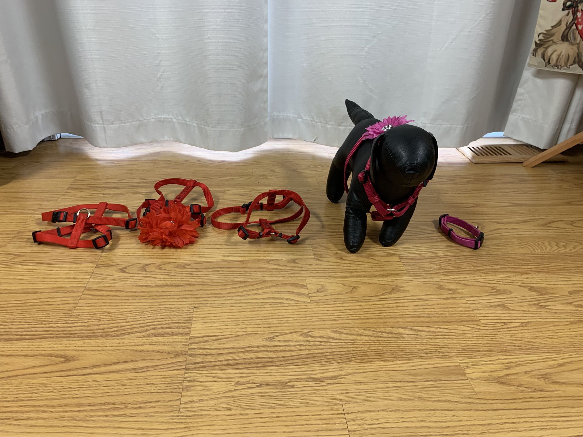 4 Harnesses And One Collar