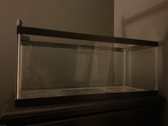 Tank