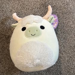 Squishmallows! 