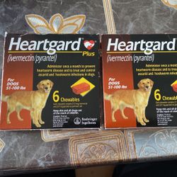 Heart Work Pills For Dogs 