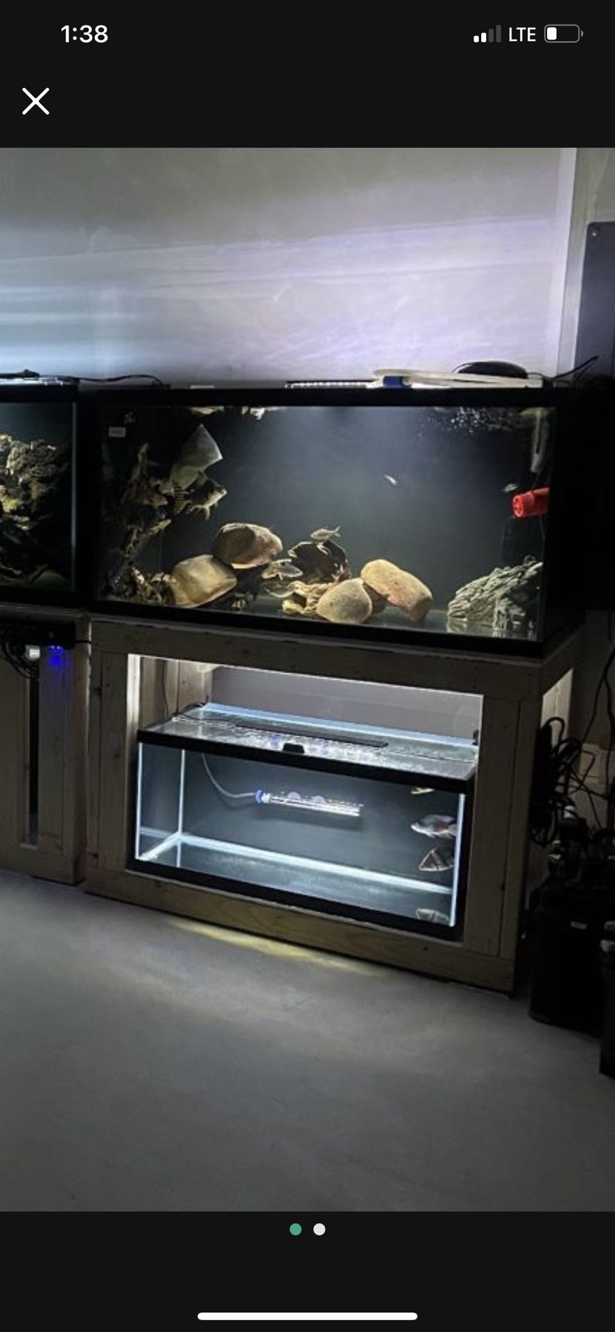 Fish Tank 