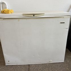 Garage Refrigerator And Freezer 