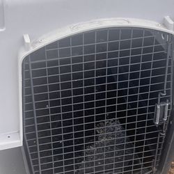 Dogs kennels   Good condition