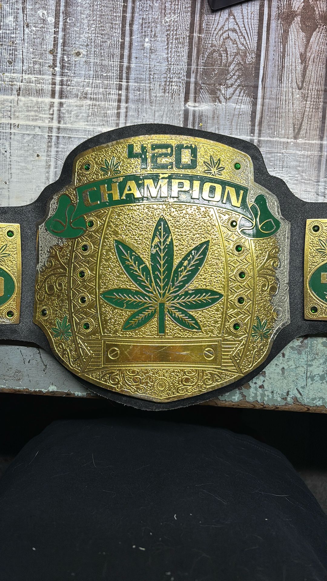 Wrestling Belt β420β
