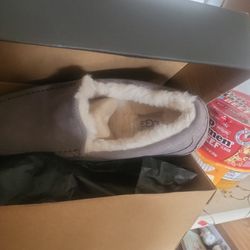 Slipper Shoe Ugg 