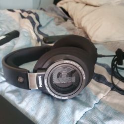 Phillips 50mm Headphones