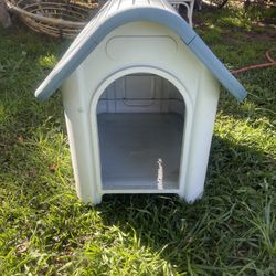 Lil Dog House 
