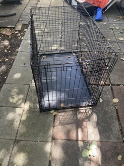 Pet Kennel