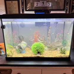 2 Aquariums and All Accessories 