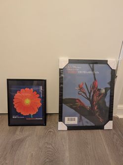 2 Frames