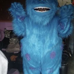 Monster Inc Costume