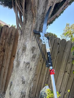Tree Pruner and Saw Set