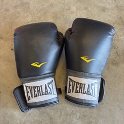 Everlast Boxing Gloves, Size 12