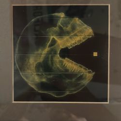 CUSTOM MATTED PAC MAN X-RAY FRAME