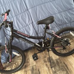 Brand New Bike 