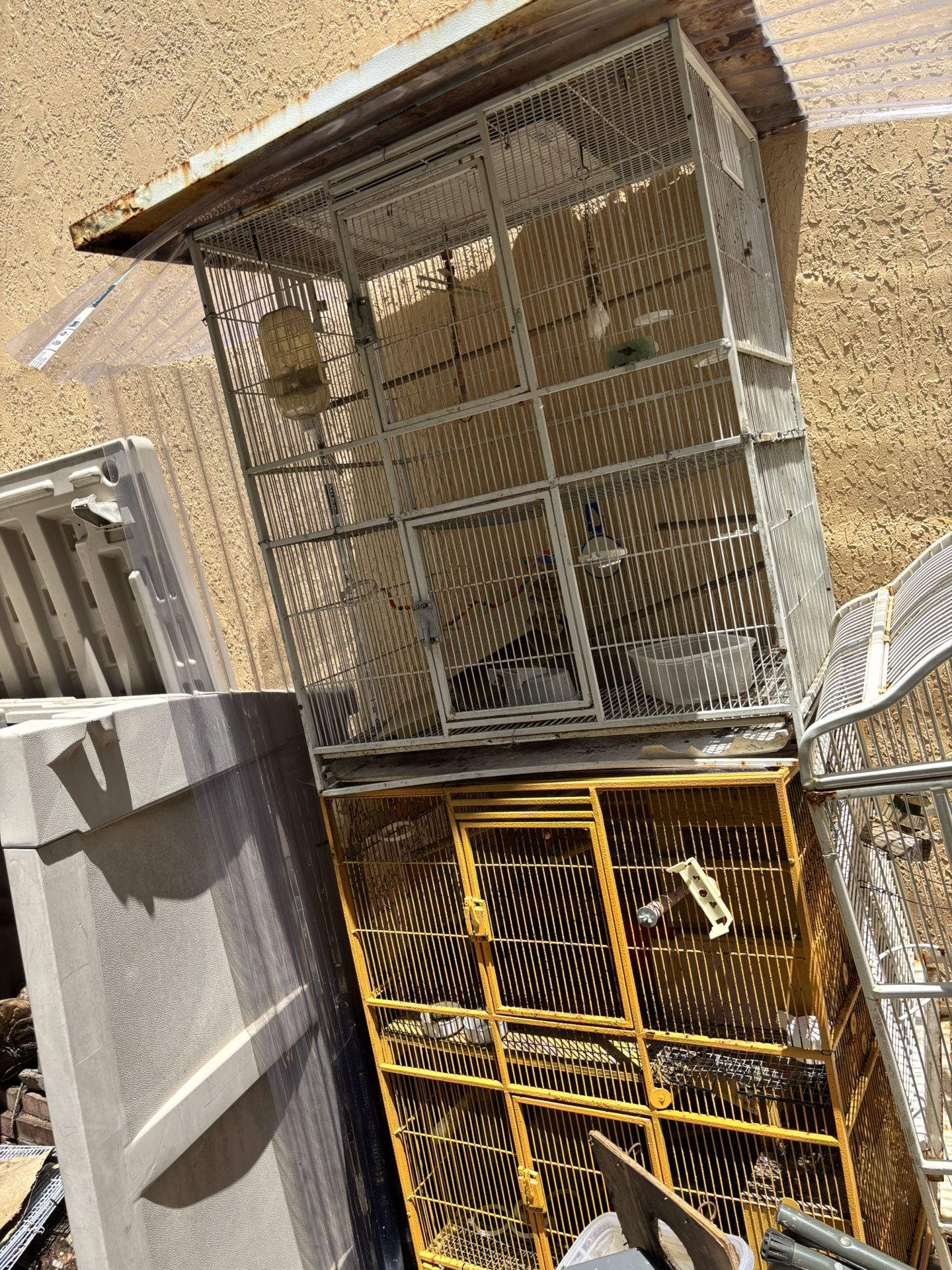 Birds Cages