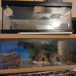2 Tank Include Everything You See In The Pictures 