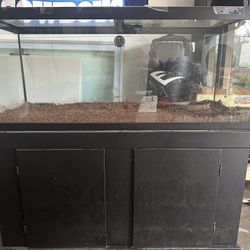 75 Gallon Fish Tank 