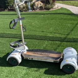 Golfboard Scooter "Official" Cart