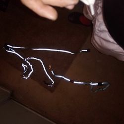 Stretchy Wes Dog Leash