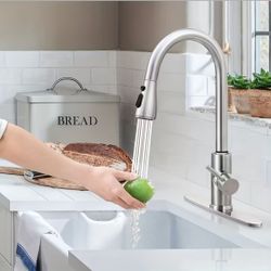 Brushed Nickel Pull-Down Kitchen Faucet