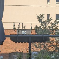 Hanging Plant Organizer 