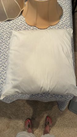 4 Pillow inserts