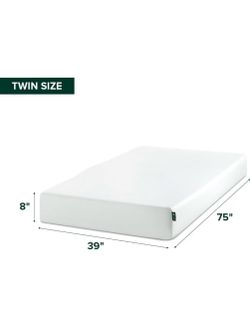 Twin Mattress (2 available)