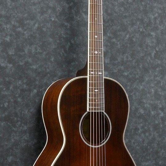 Ibanez avn10 hotsell