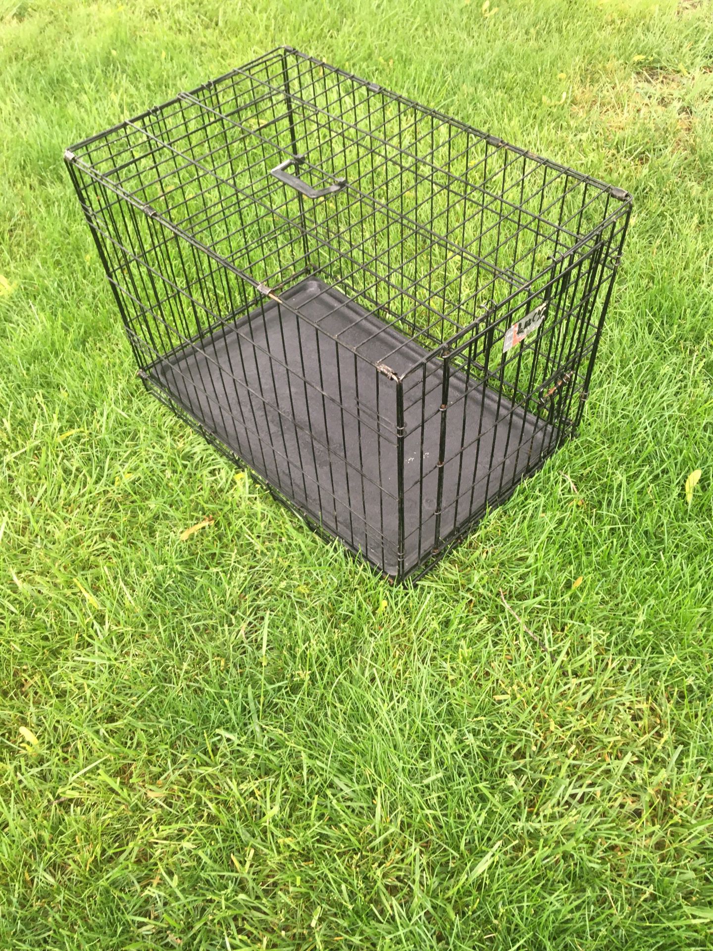Oversized Medium Folding Dog Cage 