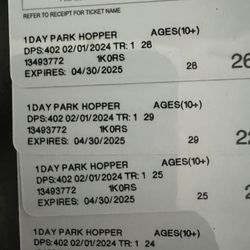 Disney Hopper Tickets 