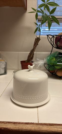 Martha Stewart small dome