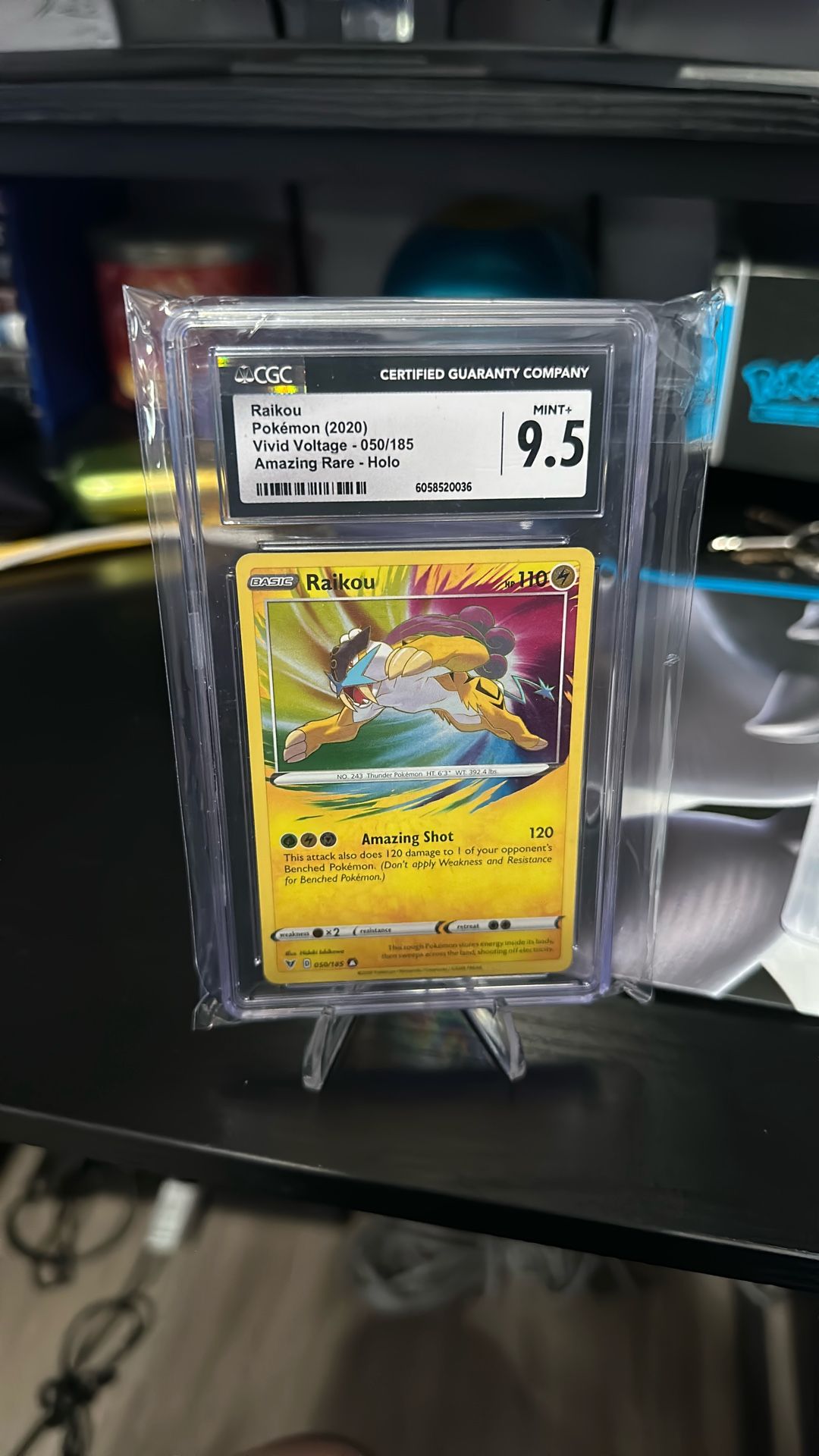 Pokemon Slab Raikou